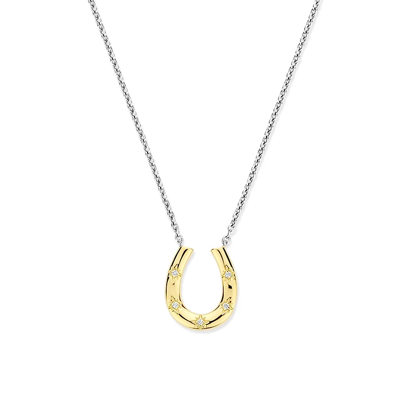 Horse Shoe Shine Necklace