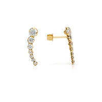 Crawler Curved Graduent Earrings