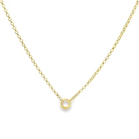 3MM Rolo Chain with Charm Carrier