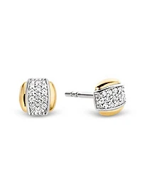 Golden Shine in the Middle Earrings