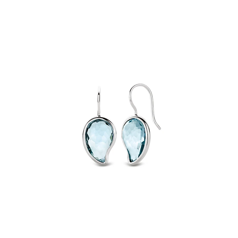 Blue Pasiley Earrings