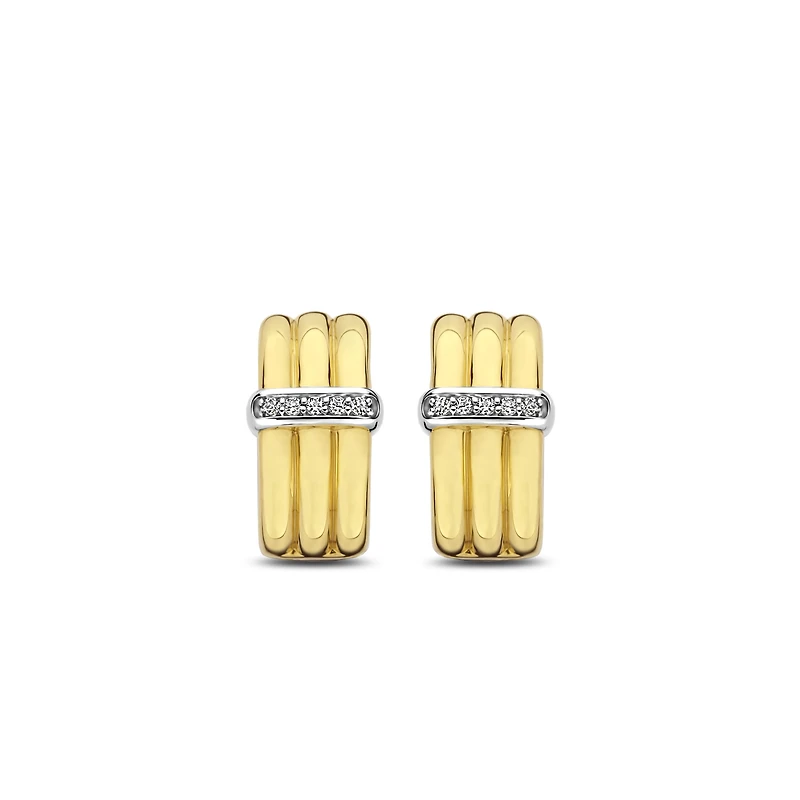 Dashing Golden Earrings