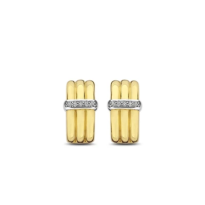 Dashing Golden Earrings