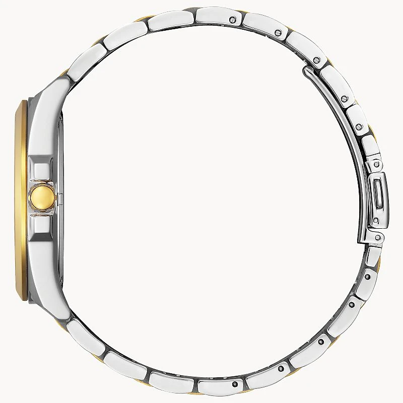 Peyten Two Tone 41mm Watch
