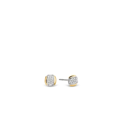 Golden Shine in the Middle Earrings