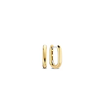 Oval Link Golden Earrings