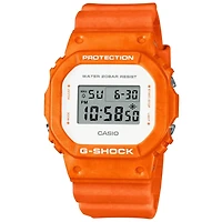 DW5600WS-4