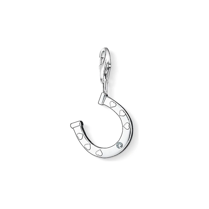 Horse shoe Charm