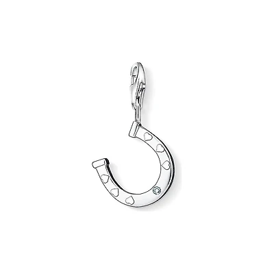Horse shoe Charm