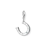 Horse shoe Charm