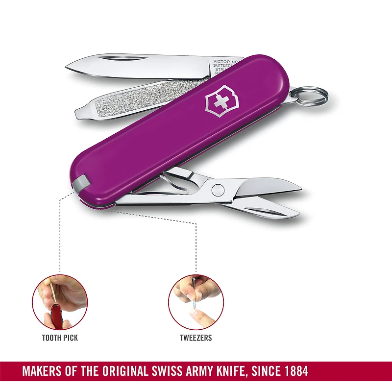 Classic Tasty Grape Knife