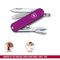 Classic Tasty Grape Knife