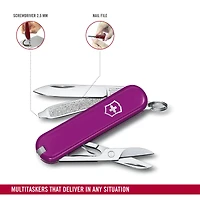 Classic Tasty Grape Knife