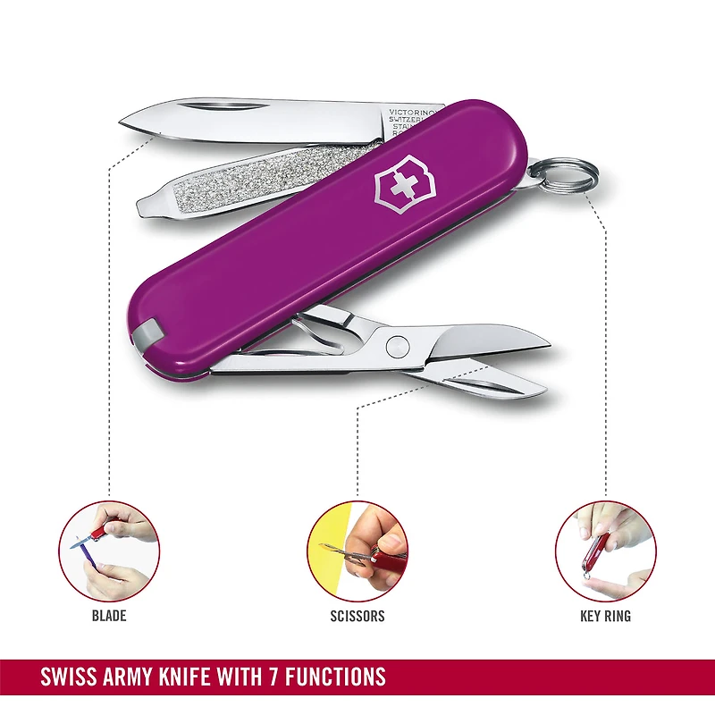 Classic Tasty Grape Knife