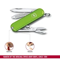 Classic Smashed Avocado Knife