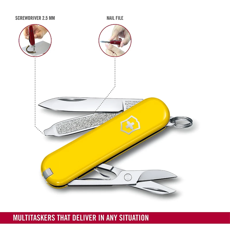 Classic Sunny Side Knife