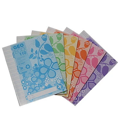 Petit cahier d'exercices écolo interligné/pointillé 40p 6AS