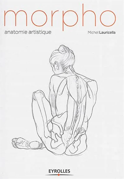 Morpho : anatomie artistique