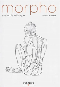 Morpho : anatomie artistique