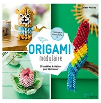 Origami modulaire