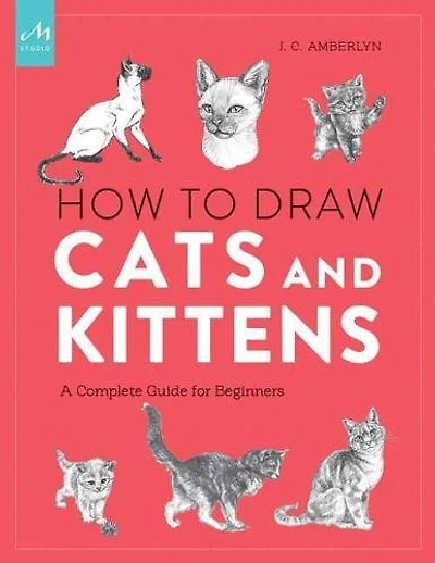 How to Draw Cats and Kittens