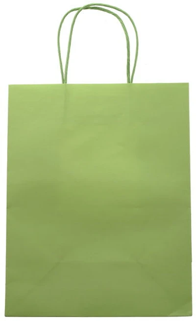 Sac moyen kraft vert