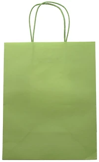Sac moyen kraft vert