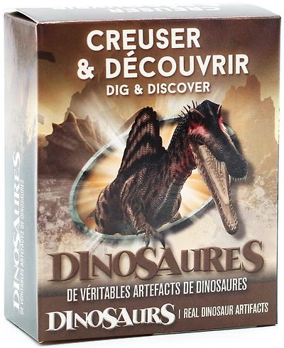 Creuser et découvrir - Os de dinosaure