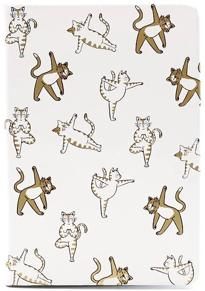 Journal ligné Chats yoga 192p