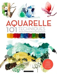 Aquarelle : 101 techniques pour apprendre et progresse N. éd.