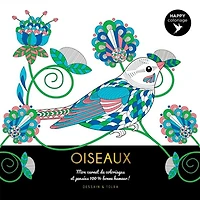 Oiseaux : mon carnet de coloriages et pensées 100 % bonne humeur !