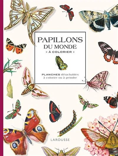 Papillons du monde à colorier : planches détachables à colorier ou à peindre N. éd.