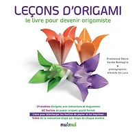 Leçons d'origami Cof. N. éd.