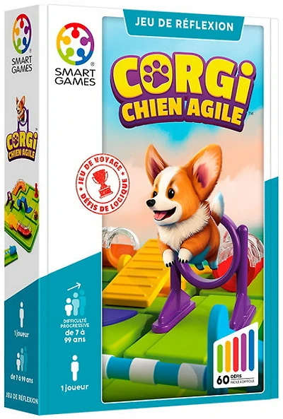 Corgi chien agile