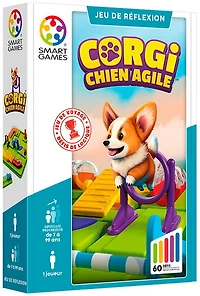 Corgi chien agile