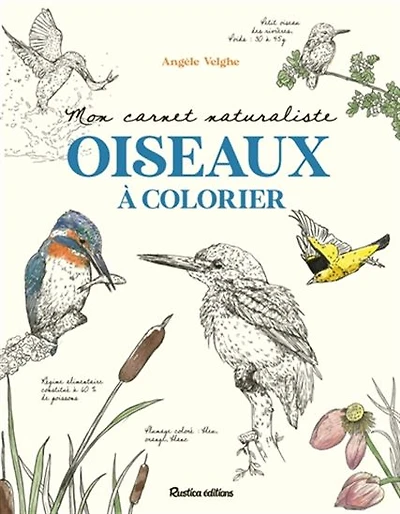 Mon carnet naturaliste : oiseaux à colorier