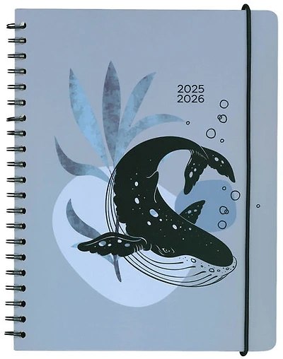 Agenda 25/26 baleine 1s/2p