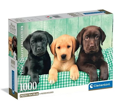 Trois labradors 1000 mcx