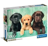 Trois labradors 1000 mcx