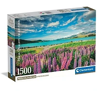 Lupins au lac Tekapo 1500 mcx