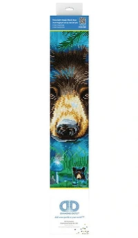 Ours noir & magie du clair de lune