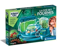 La cité des fourmis