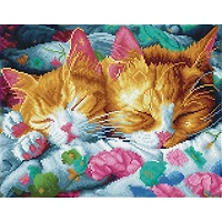 Kit créatif Diamond Dotz - sieste de chatons