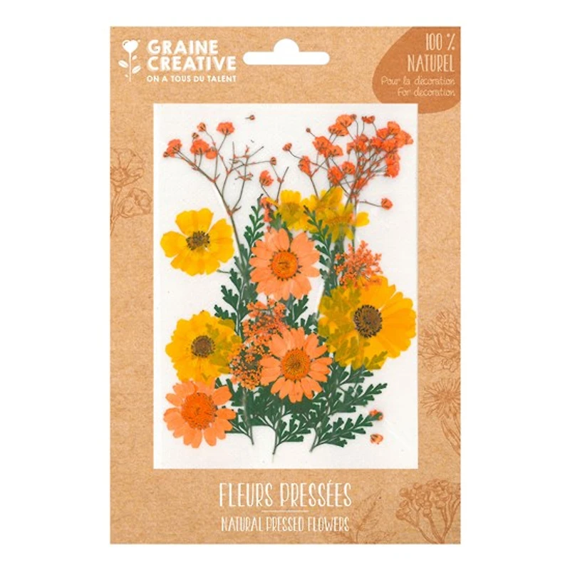 Natural Pressed Flowers - Yellow Meadow, 18 Pieces