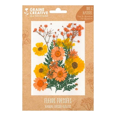 Natural Pressed Flowers - Yellow Meadow, 18 Pieces