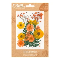 Natural Pressed Flowers - Yellow Meadow, 18 Pieces