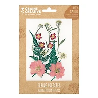 Natural Pressed Flowers - Meadow