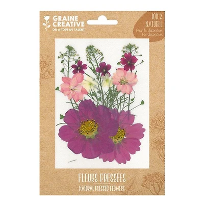 Fleurs pressées naturelles - parme prairie, 14 pièces