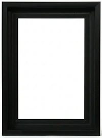 Cadre flottant musée noir - 15x30po