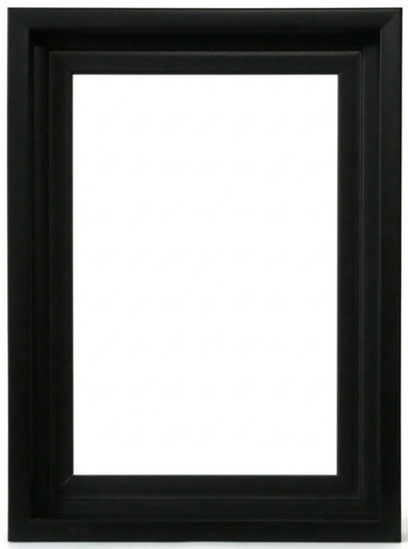 Cadre flottant musée noir - 18x36po